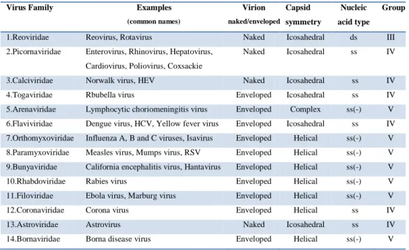 Table 1.3:  RNA viruses. 