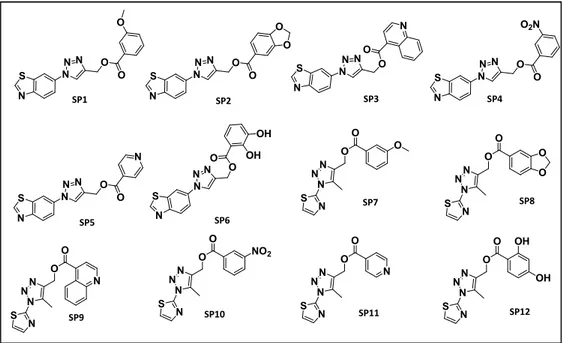 Figure 3.1 Chemical structures of the triazoles SP1-SP12   selected from the virtual screening 
