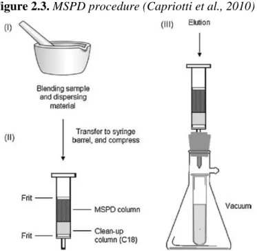Figure 2.3. MSPD procedure (Capriotti et al., 2010) 