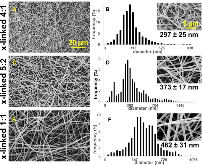 Fig.  24.  A,  B.  SEM  images  at  different  magnifications  of  electrospun  GE:PLA  4:1  scaffold 