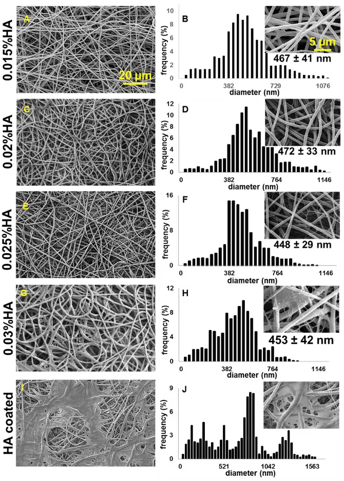 Fig. 31. A, C. SEM images at different magnifications of HA containing electrospun GE:PLA 