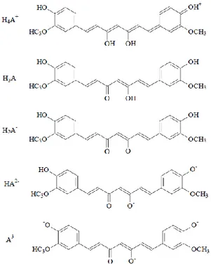 Figure 32:   Protonated  and  deprotonated  structures  of  curcumin  at  different  pH  values 