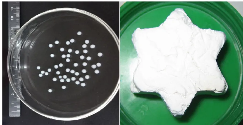 Figure 5. Aerogel materials obtained in form of beads (left) and monolith  with star-like shape (right)