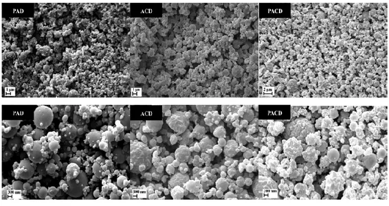 Figure  24.  SEM  images  of  particles  obtained  by  SAA  containing:  alginate/chitosan/doxycycline  (ACD),  pectin/alginate/doxycycline  (PAD)  and pectin/alginate/chitosan/doxycycline (PACD)