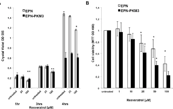Fig. 1. Effect of RSV on EPN and EPN-PKM3 cells adhesion and viability. A) Cell adhesion assay