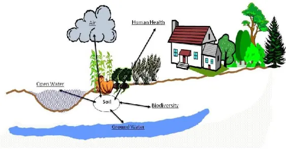 Fig. 1. Interazioni tra il suolo e gli altri comparti ambientali  