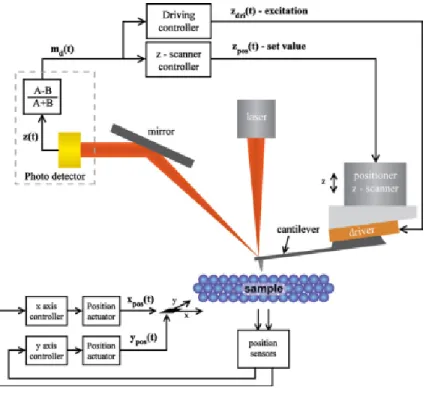 Figure  2.  5  General  setup  used  for  AFM  and  derived  techniques.  In  this  case  a  piezo-tube 