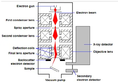Figure  2.  9  General  SEM  setup.  An  electron  beam  is  generated  by  a  filament  for  thermo-