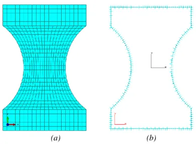 Figure 4 Example of a 2D model via (a) FEM and (b) BEM. 