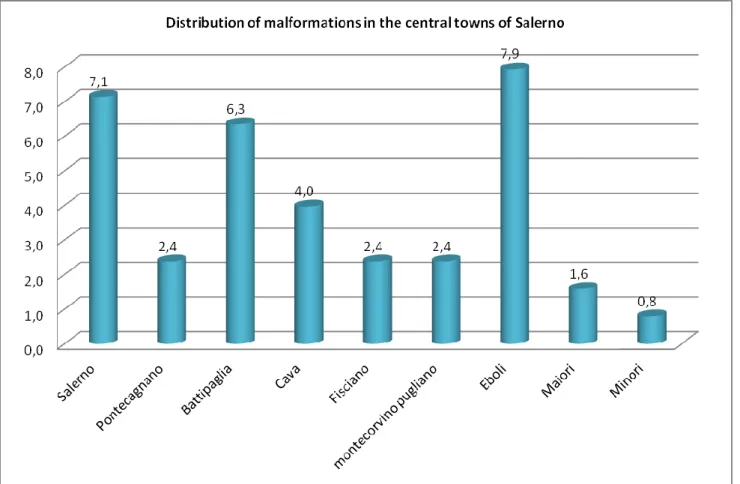 Fig. 5 Distribution of malformations in the central towns of Salerno 