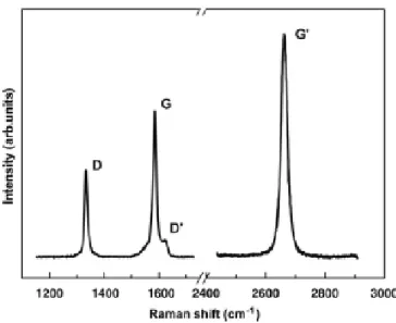 Figure 30. Raman spectrum of a graphene edge, showing the main Raman features ref. [117] 