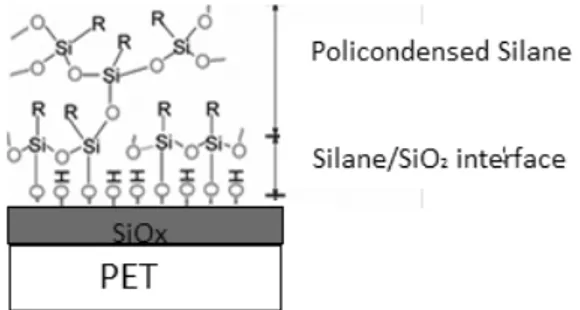 Figure III.6 Schematic view of the policondensation product of silanes on a 