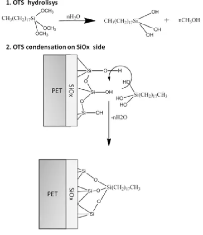 Figure III.10 Hypothesis of reaction scheme for the OTS condensation. 