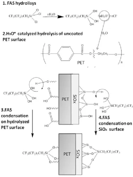 Figure III.11 Hypothesis of reaction scheme for the FAS condensation. 