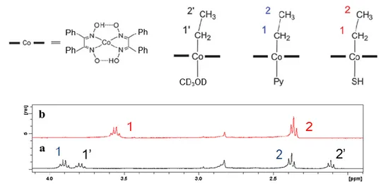Figure  2.19.  Aliphatic  region  of  the  1 H  NMR  spectrum  of  [Co(dfgH) 2 (CH 2 CH 3 )(py)]  (4) 