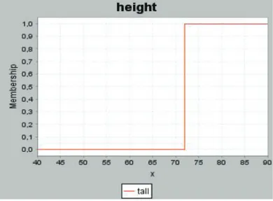 Figure 3. Crisp Membership Function. 