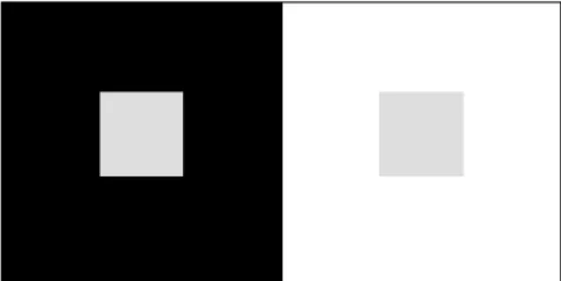 Figure 1: Comparing the two small  gray squares, the eye is not at ease comparing 