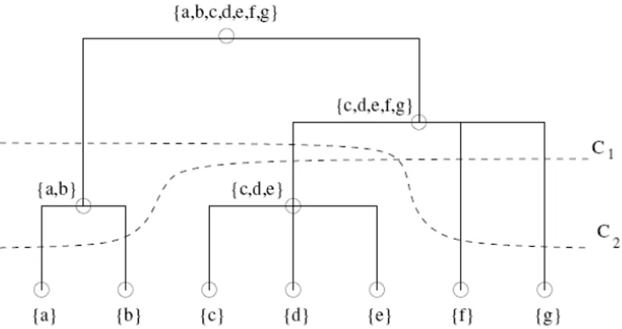 Figure  8:  Hierarchy  representation  in  dendrogram  form  with  two  possible  cuts  C1 