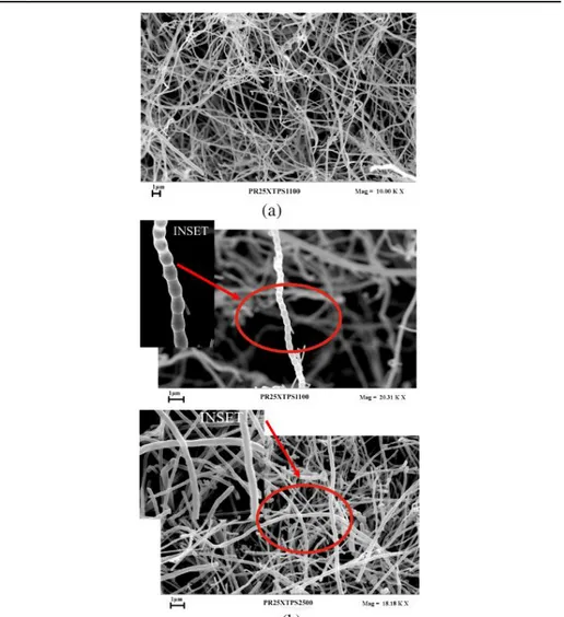 Figure  III.1(a)  An  SEM  image  of as-received  CNFs  (PR25XTPS1100);  (b)  SEM images of as-received CNFs (PR25XTPS1100) and CNFs heat treated  at 2500°C (PR25XTPS2500); the inset shows higher magnifications for each  sample 