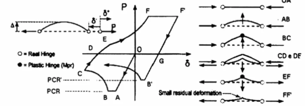 Fig. 1.18: Comportamento ciclico di un’asta soggetta a forzo assiale (tratto da 