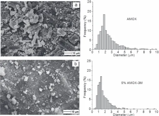 Figure IV.1 SEM micrographs and crystal dimension of amoxicillin pristine 