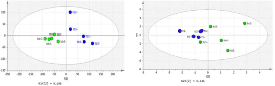 Fig. 2.2: Partial least square (PLS) score scatter plot unripe and ripe fruits. 