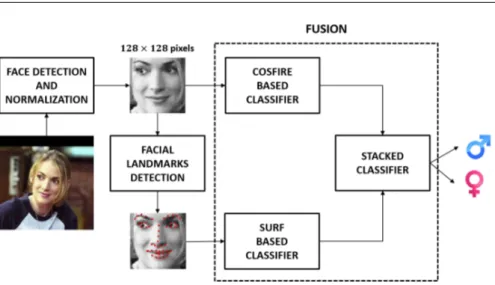 Figure 3.4 Architecture of the method based on the fusion of domain-specific and trainable features.