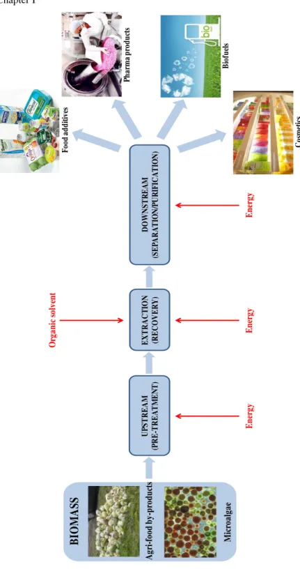 Figure I.4 Schematisation of biorefinery processing of food wastes/by-wastes/by-BIOMASSAgri-foodby-productsMicroalgaeUPSTREAM (PRE-TREATMENT)EXTRACTION(RECOVERY)DOWNSTREAM(SEPARATION/PURIFICATION)FoodadditivesPharmaproductsCosmeticsBiofuelsEnergyEnergyEner