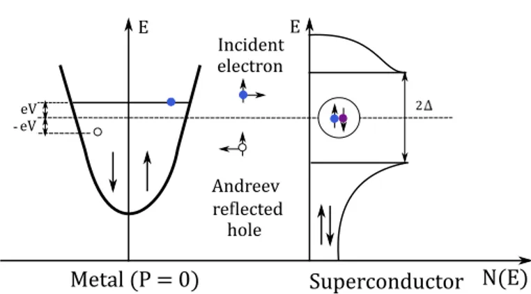 Figure 1.2: Andreev reflection process for a metal with spin polarization of P = 0. The solid circles denote electrons and open circles denote holes