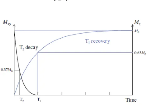 Figure 10  T 1  and T 2  relaxation occur simultaneously, the T 2  decay is much quicker than the T 1  recover 