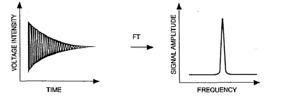 Figure 13 The FT process takes the time domain function (the FID) and converts it into a frequency domain 