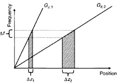 Figure 17 Larmor frequency versus position along the gradient direction , z-axis (taken from [4])