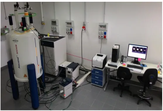 Figure 27 Magnet, Operator Console, and Console at MNR Laboratory of Physics Department of Salerno