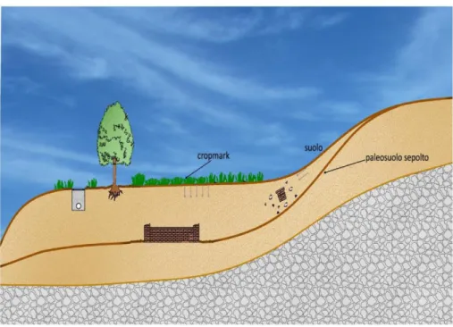 Figura  4.9  Raffigurazione  semplificata  di  un  suolo  soggetto  a  processi  di  morfogenesi (parte sommitale) e pedogenesi (parte basale)