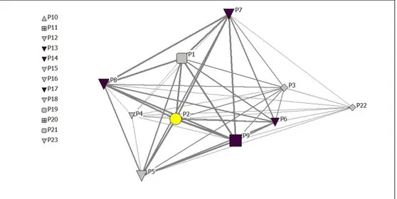 Figura  5.1:  Grafo  pesato  che  rappresenta  la  rete  attivata  dai  23  partners  a  partire 