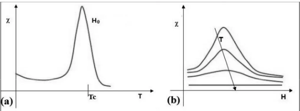 Figure I.9 The susceptibility of a ferromagnetic material as a function of: (a) temperature, (b) magnetic field intensity.