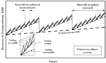 Figura 3.2 Rappresentazione schematica dei diversi tassi di fouling per  filtrazione a lungo termine di un MBR a scala reale (Kraume et al., 2009)
