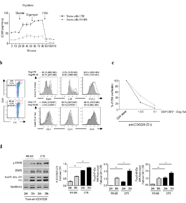 Fig. 9: Impaired glycolysis, altered FoxP3-E2 expression, reduced IL-2/IL-2R/STAT5 signalling in iTreg cells from  RR-MS subjects