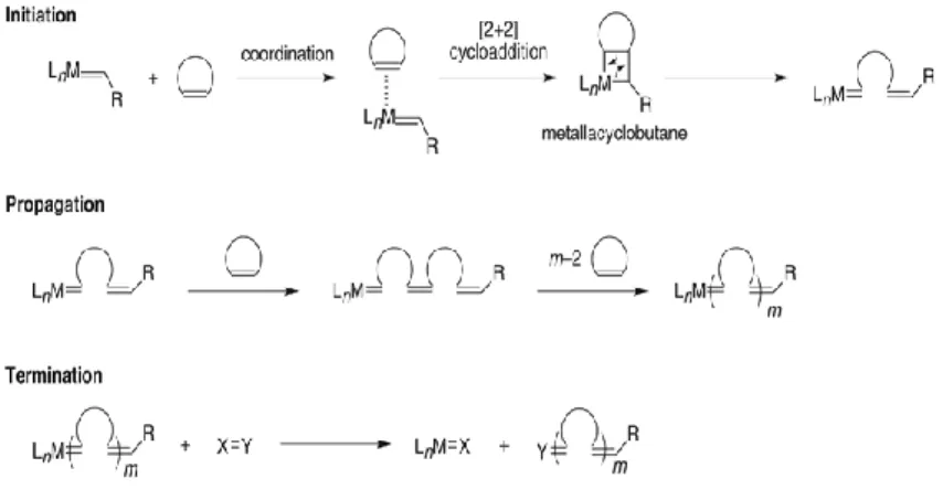 Figure 1.7: Mechanism of ROMP reaction.