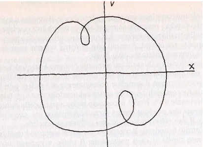 Figura 3.3: Ciclo limite, che caratterizza il moto del pendolo nel caso di forza non lineare 