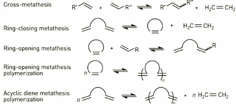 Figure 2.2: Scheme of the metathesis guises. All the reactions are reversible!