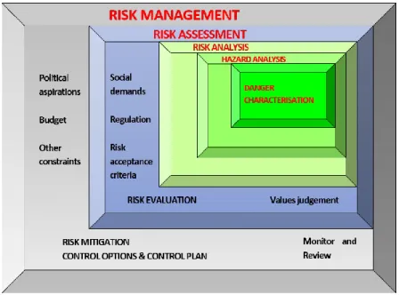 Figure 2.2 Schematic representation of the integrated risk management process  proposed by  Fell et al