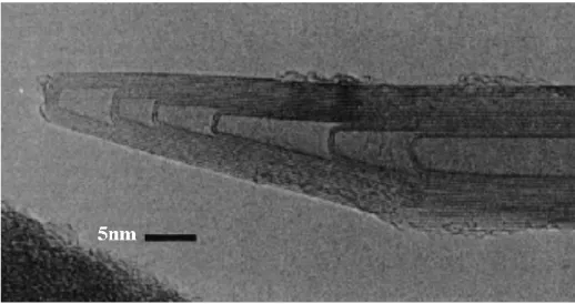 Figure I.11 TEM image of carbon nanotubes produced by arc discharge 