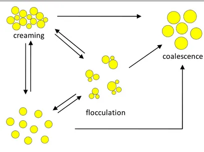 Figure I.5 Mechanisms of physical instability in nanoemulsions. 