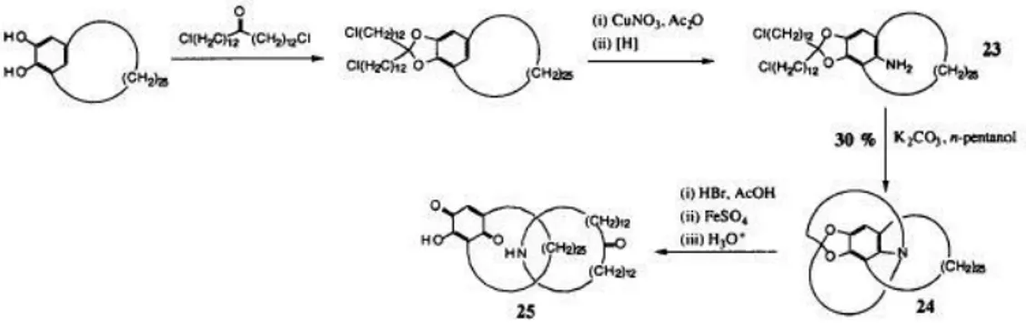 Figura 15. Schill and Lüttingraus [2]catenane by template synthesis 