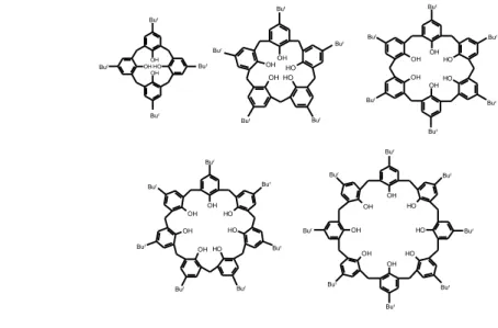 Figure 43.The phenol-derived calixarene family. 