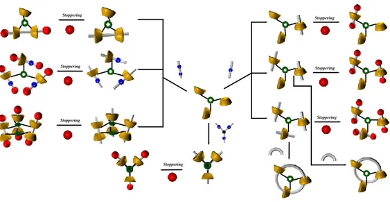 Figure 58. The variety of topological isomers obtainable from a tris-calixarene host. 
