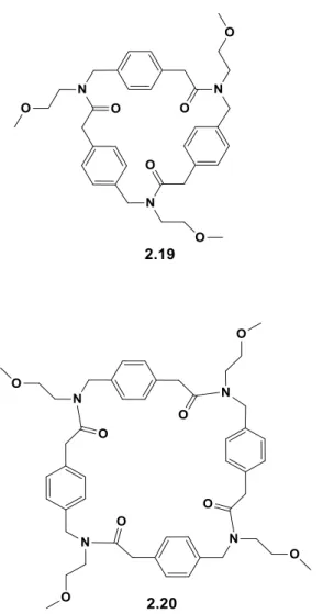 Figure 2.6. Cyclic oligomeric N-substituted aminomethyl benzylamides 2.19 and 2.20. 