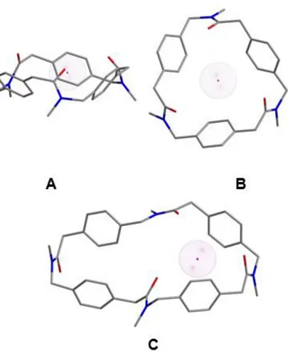 Figure 2.8. Structures showing the Na +  complex of compounds 2.19 (A: side view; B: 