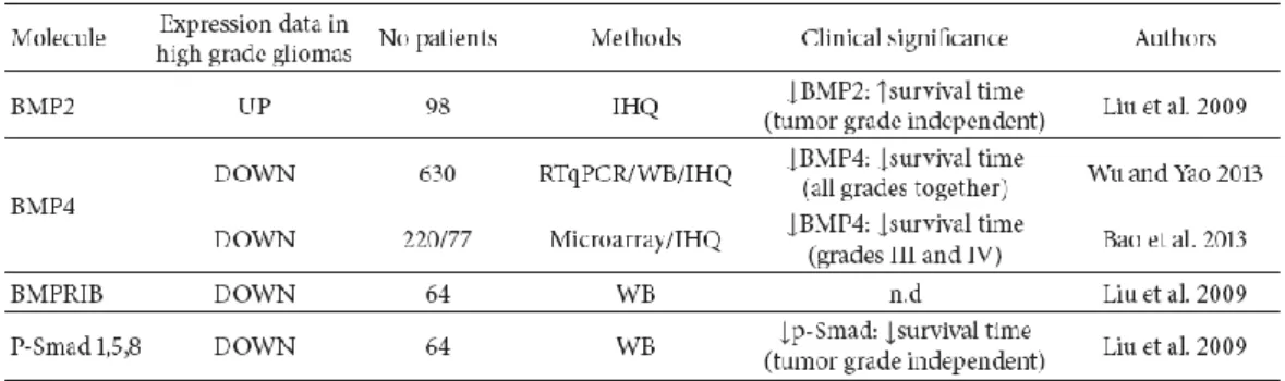 Tabella 2  Livelli di espressione dei membri del pathway delle BMPs nel glioma 